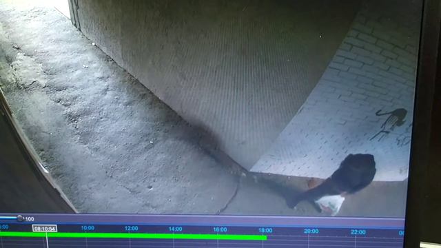 Когда держаться больше нету сил. смотреть онлайн