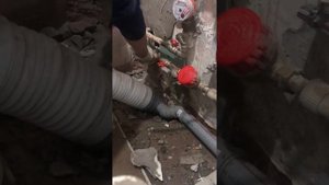 Голуби застряли в вентиляции.