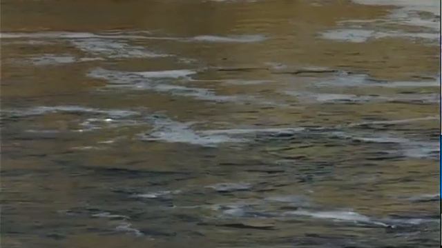 На Сергеевском водохранилище за сутки уровень воды опустился на 10 см смотреть онлайн