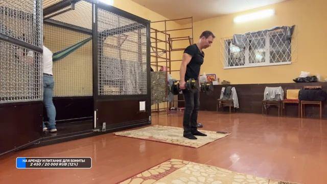 ?СТРИМ / ШИМПАНЗЕ Боня и ДАН ЗАПАШНЫЙ отвечают на вопросы / Новости из Оренбурга 8.10.2023