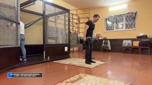 ?СТРИМ / ШИМПАНЗЕ Боня и ДАН ЗАПАШНЫЙ отвечают на вопросы / Новости из Оренбурга 8.10.2023