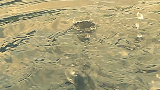 Sony HDR-CX250 Slow motion first test смотреть онлайн