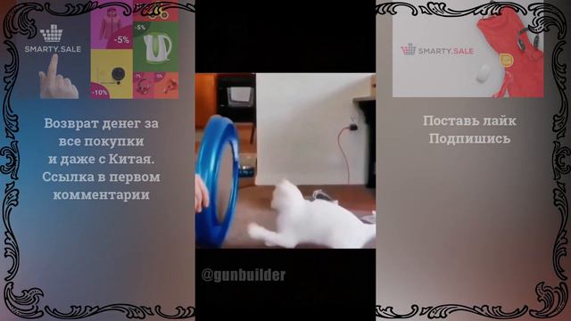 Смехуечки выпуск 2 #приколы подборка смешных моментов и юмор с животными смотреть онлайн