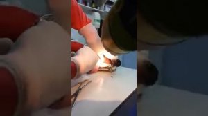 Извлечение кости из пасти у собаки