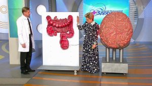 Ты: инструкция к применению. Прямая кишка. Здоровье. Фрагмент выпуска от 24.01.2016