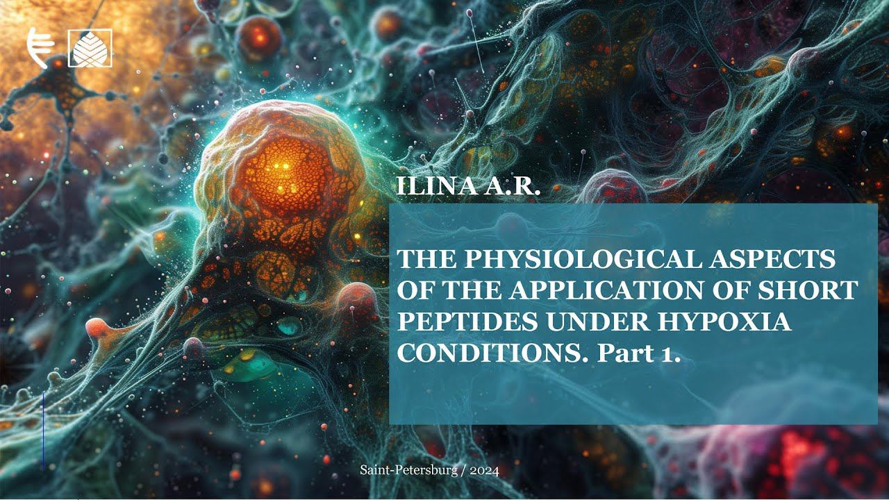 The physiological aspects of the application of short peptides under hypoxia conditions (part 1)