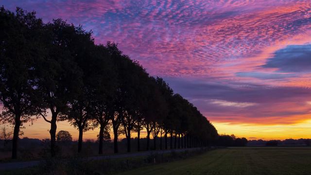 👐Bad Boys Blue - A World Without You🌳 смотреть онлайн