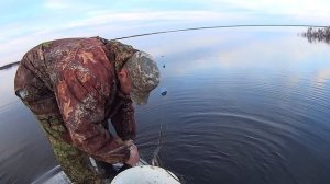Вылов рыбы сетями. Рыбалка на Крайнем Севере. Fishing with nets.