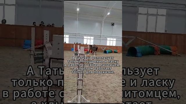 Выступление в паре с конем