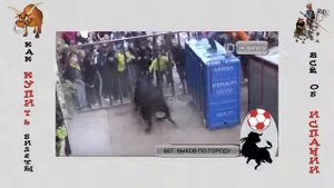 Коррида  в Испании   Бык вырвался наружу