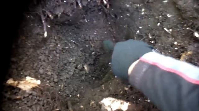 Бронзовый топорик скифский смотреть онлайн