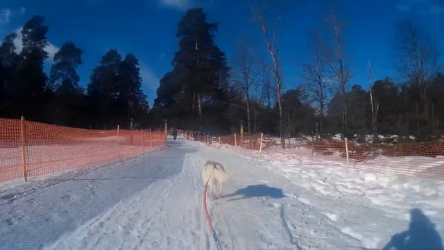Зимняя сказка 2017 Решетиха день 2 ЕВА и ШЕРИ смотреть онлайн