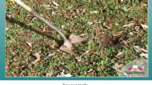 Excel 8th grade. Module 1F. Global Citizenship