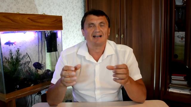 Как самому избавиться от арахнофобии (страха пауков)