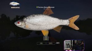 Russian Fishing 4 stream \ Русская рыбалка 4 стрим. потаскун лещей