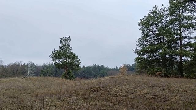 25 декабря праздник день Спиридона-Солнцеворота. Народные приметы и традиции. Что нельзя делать.