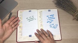 Как я веду ежедневник для работы?