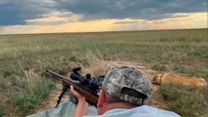 Стрельба на 150м по сурку. Пристрелка винтовки Ata Arms оптический прицел MARCH SK3-15 * 44FFP IR.