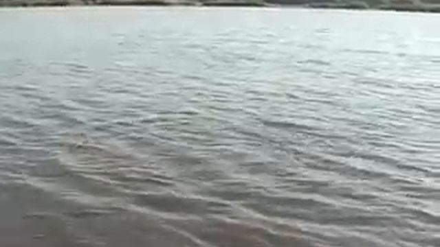 (ловля карпа) РЫБАЛКА НА МАРЬЕВСКОМ ВОДОЁМЕ часть 1