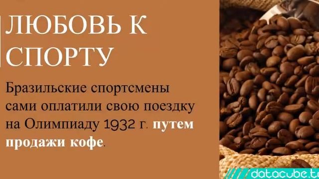 13 интересных фактов о Бразилии и ее достопримечательностях