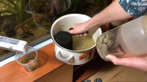 Как правильно чистить аквариумный фильтр