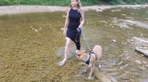 Жизнь прекрасна