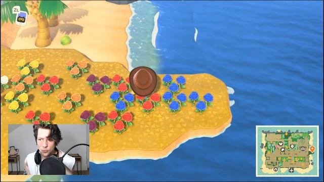 Animal Crossing New Horizon - easy and simple guide for blue rose смотреть онлайн