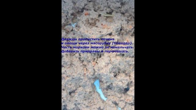 Закуски. Рулет из куриной печени со сливочным сыром.