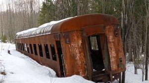 заброшенная железная дорога в глухом лесу