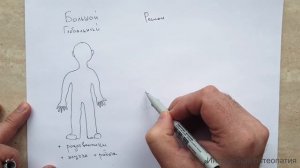 Основы диагностики в остеопатии