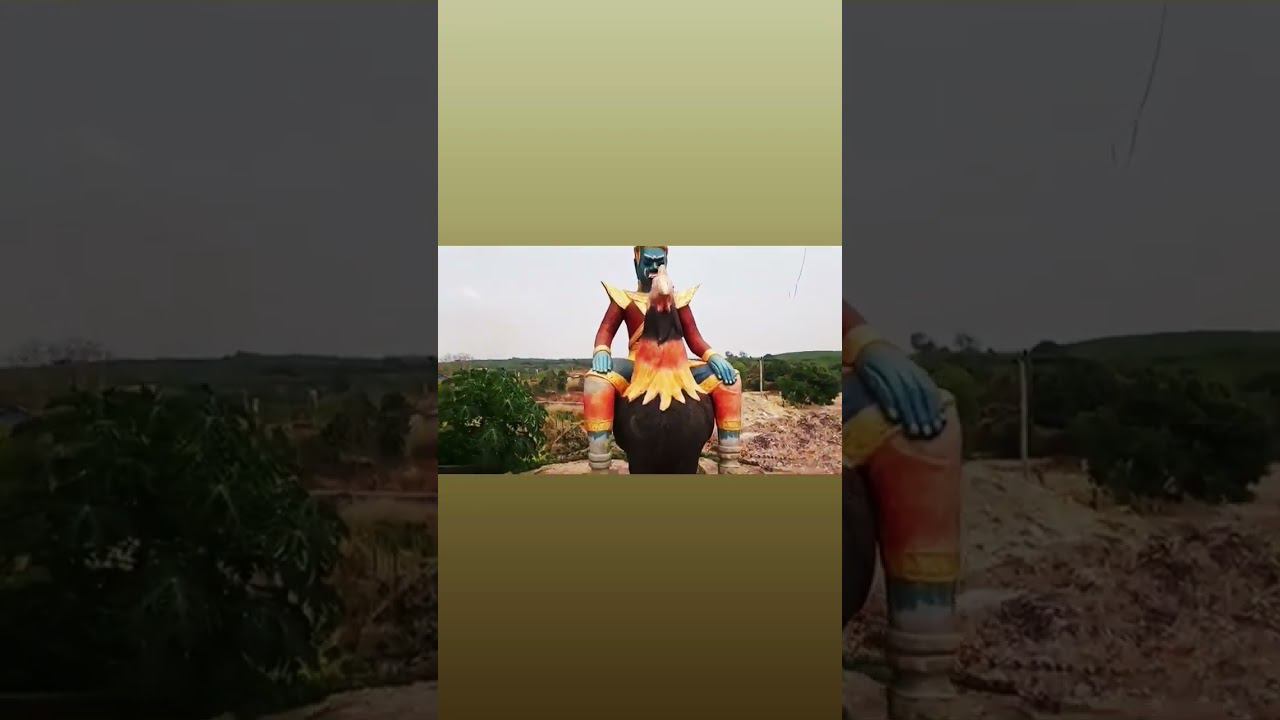 Китайский гороскоп в буддийском храме смотреть онлайн