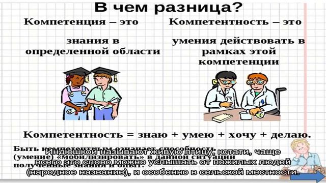На заметку самым дотошным: индейка и индюшка — в чем разница