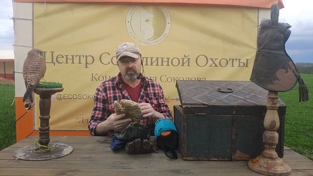 Перчатка соколиная. Виды и назначение.
