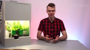 ГИДРОПОНИКА С АВТОМАТИЧЕСКИМ УПРАВЛЕНИЕМ НА ARDUINO СВОИМИ РУКАМИ #ЧАСТЬ2