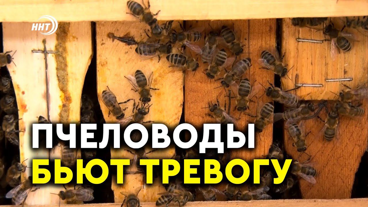 Всемирно известный ученый Кашковский прибыл в Дагестан
