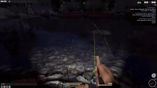 Fisher Online / точка на ельца сибирского, река Енисей
