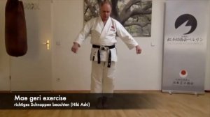 JKA Shokukai Videos N°10 - Shotokan Kyokai Berlin Onlinetraining 19.11.2020