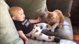 Я ржал в течение часа 😾 Самые сумасшедшие кошки раздражают детей / Смешные видео о кошках 2023