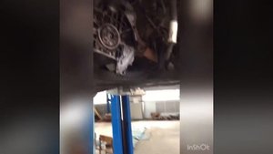 Не заводится Эмгранд.