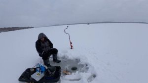 Рыбалка на озере Бернард 20 Января, 2024 / Ice Fishing - Bernard lake Jan 20, 2024