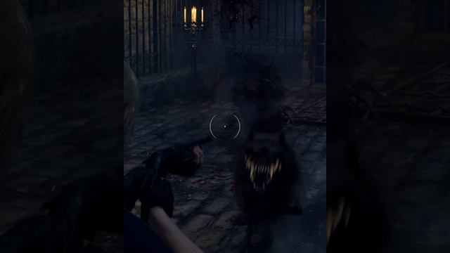 RESIDENT EVIL 4 REMAKE chapter 9 zombie dogs in garden | RESIDENT EVIL 4 REMAK chapter 9 dog zombie