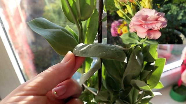 Почему осыпаются листья и что делать с тлей? / Что будет с садовыми растениями в квартире? смотреть онлайн