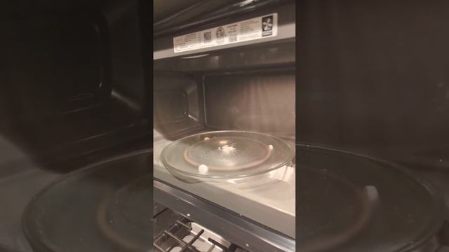 inside of a microwave