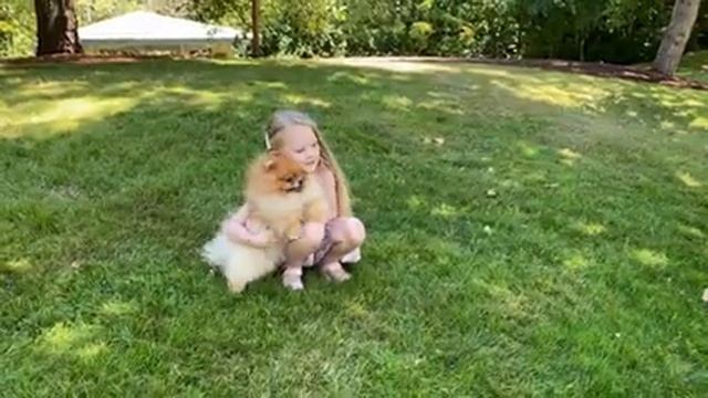 Английский с Жасмин. Самая пушистая собака в мире!