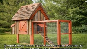 Курятник на 5 кур