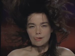 Björk - Hidden place