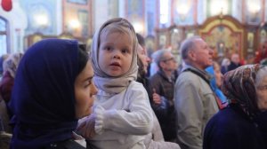 Переезд в Нижний Новгород Лубенец Артём #серафильм #serafilm