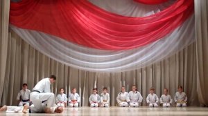 Aikido Yoshinkan Donetsk at the Festival of Martial Arts in Donetsk 11.11.2017