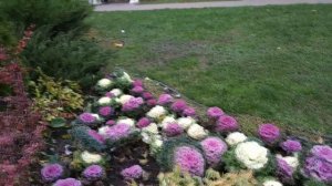 Последние теплые деньки уходящей осени. Музыкальная прогулка.