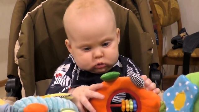 гусеница Камилла смотреть онлайн